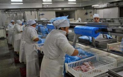 Disputa sindical del rubro alimentos pesqueros en Santa Cruz: el SITFAL lanzó una campaña de afiliación y el STIA respondió con acusaciones de «fraude»