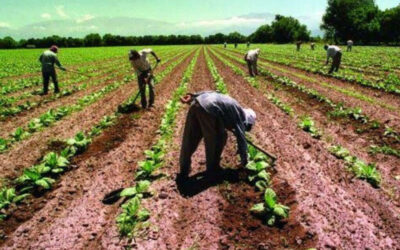 UATRE reclamó la continuidad de un beneficio que el Gobierno podría cortar a partir de septiembre