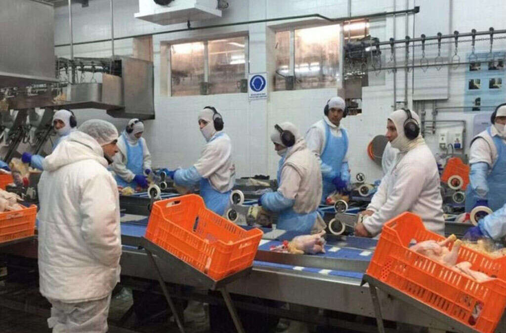 Granja Tres Arroyos: la avícola más grande del país suspendió su producción y los trabajadores denuncian vaciamiento