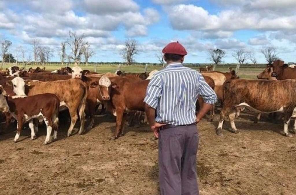 UATRE advirtió que por una decisión del Gobierno hay 120.000 puestos de trabajo en riesgo