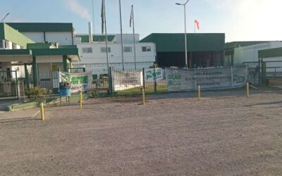 Pandemia de despidos en Granja Tres Arroyos: desvinculó a 1.000 trabajadores de tres plantas bonaerenses en dos días