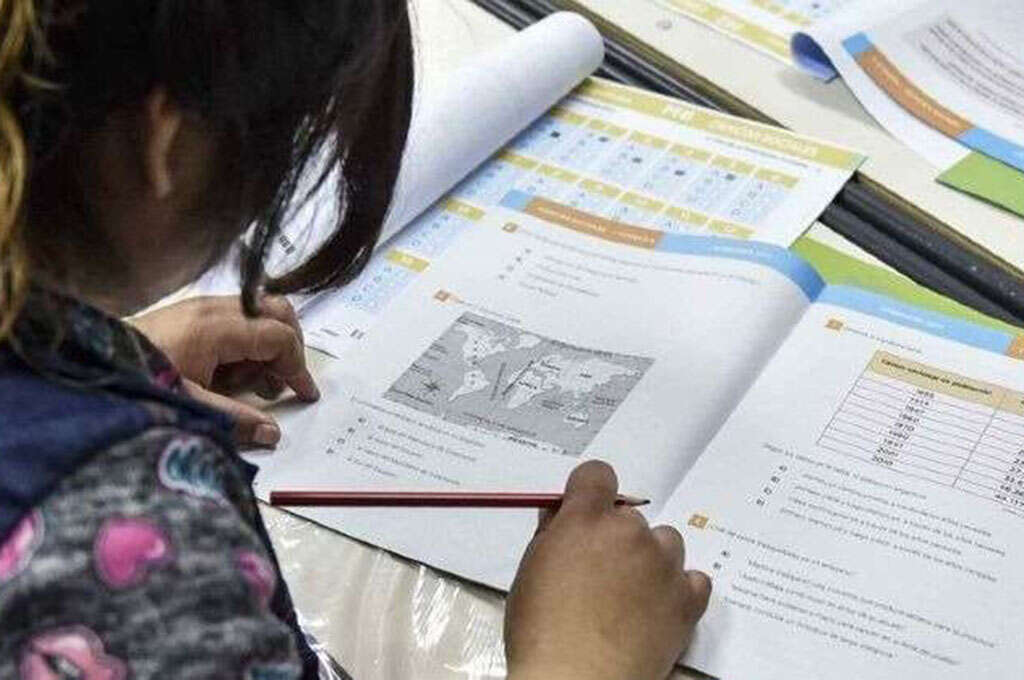 Gremios docentes vincularon malos resultados en las pruebas PISA 2025 con “falta de inversión educativa” Gremios docentes vincularon malos resultados en las pruebas PISA 2025 con “falta de inversión educativa”