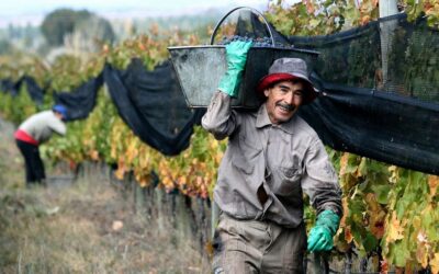 Sin acuerdo, la federación vitivinícola acusó a los empresarios del vino de «tacaños» e inicia asambleas