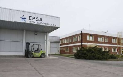 Alerta en el sector pesquero por despidos de trabajadores de planta permanente tras el final de la temporada de langostino