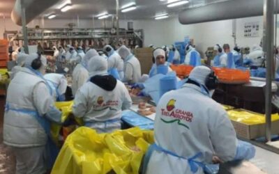 De no creer: en pleno concurso preventivo, denuncian que Granja Tres Arroyos ofreció saldar parte de la deuda salarial con cajones de pollos