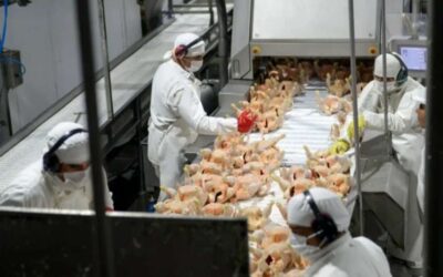 Audiencia clave en el conflicto de Granja Tres Arroyos: pedirán reincorporación de despedidos