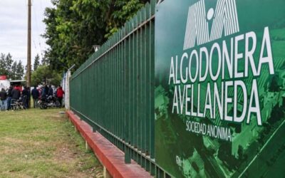 La algodonera del Grupo Vicentín quedó al borde de la quiebra: incertidumbre en sus 360 trabajadores