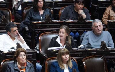 Siley advirtió que el FAL hará inviable el pago de las jubilaciones: «Es el caballo de Troya de la reforma laboral»