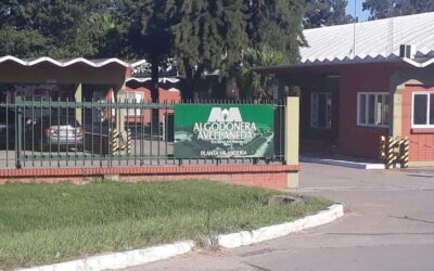La Justicia busca compradores para Algodonera Avellaneda tras la quiebra: quiere tenerlos identificados antes de fin de año